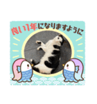 3にゃん仲良し（個別スタンプ：16）