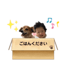 こたかなブラザーズ1（個別スタンプ：12）