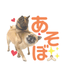 リールさんのスタンプ3（個別スタンプ：4）