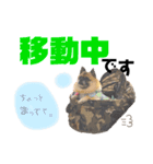 リールさんのスタンプ3（個別スタンプ：24）