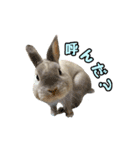 もふもふなうさぎ第2弾（もふうさ）（個別スタンプ：9）