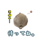 もふもふなうさぎ第2弾（もふうさ）（個別スタンプ：18）
