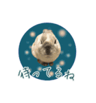 もふもふなうさぎ第2弾（もふうさ）（個別スタンプ：20）