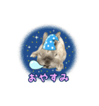 もふもふなうさぎ第2弾（もふうさ）（個別スタンプ：24）