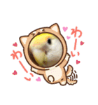 インコちゃん達Parakeet（個別スタンプ：9）