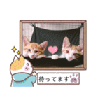 ♡つくし♡なずな♡日常スタンプ（個別スタンプ：12）