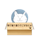 動物スタンプ 白猫シロ（個別スタンプ：20）