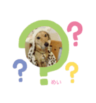 めい♀スタンプ（個別スタンプ：7）