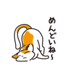 三毛猫ミヨちゃん2（個別スタンプ：3）