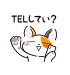 三毛猫ミヨちゃん2（個別スタンプ：4）
