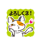 三毛猫ミヨちゃん2（個別スタンプ：12）