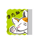 三毛猫ミヨちゃん2（個別スタンプ：24）