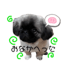 ぼくたかもり。（個別スタンプ：4）