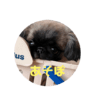 ぼくたかもり。（個別スタンプ：7）