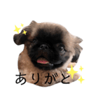 ぼくたかもり。（個別スタンプ：8）