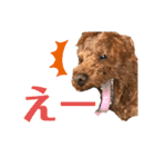 Elmo202207（個別スタンプ：7）
