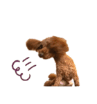 Elmo202207（個別スタンプ：14）