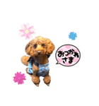 Elmo202207（個別スタンプ：15）
