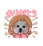 チワワのラブちゃんで～す❣️（個別スタンプ：28）
