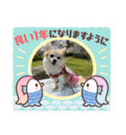 チワワのラブちゃんで～す❣️（個別スタンプ：33）