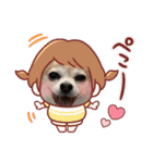 チワワのラブちゃんで～す❣️（個別スタンプ：34）