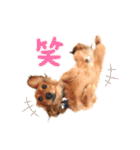 れお2☆カニンヘンダックス（個別スタンプ：4）
