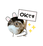 みみちゃん 2（個別スタンプ：2）
