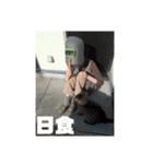 木村豊田池本家スタンプ（個別スタンプ：34）