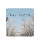 景色たち（個別スタンプ：5）