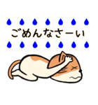 ねこちゃん〜夏の詰め合わせ（個別スタンプ：13）