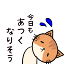 ねこちゃん〜夏の詰め合わせ（個別スタンプ：15）