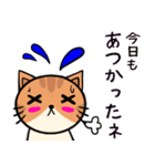 ねこちゃん〜夏の詰め合わせ（個別スタンプ：16）