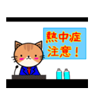 ねこちゃん〜夏の詰め合わせ（個別スタンプ：27）