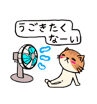 ねこちゃん〜夏の詰め合わせ（個別スタンプ：29）