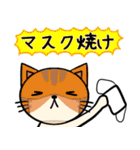 ねこちゃん〜夏の詰め合わせ（個別スタンプ：37）