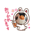 かわいい！ペンギンスタンプ2（個別スタンプ：2）