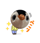 かわいい！ペンギンスタンプ2（個別スタンプ：7）