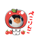 かわいい！ペンギンスタンプ2（個別スタンプ：8）