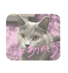 ねこじんすたんぷ（個別スタンプ：3）