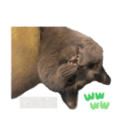ねこじんすたんぷ（個別スタンプ：14）