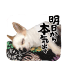 そら      スタンプ（個別スタンプ：1）