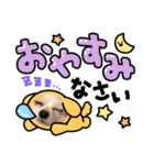 そら      スタンプ（個別スタンプ：4）