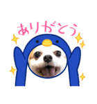 そら      スタンプ（個別スタンプ：6）