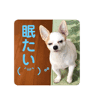 そら      スタンプ（個別スタンプ：8）