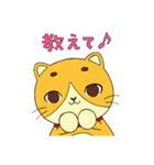 おとぼけ猫の小吉くん（個別スタンプ：5）