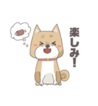 おすわりしばいぬ（個別スタンプ：11）