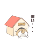 おすわりしばいぬ（個別スタンプ：25）