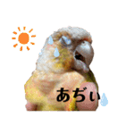 ウロコインコのうりPart7（個別スタンプ：23）