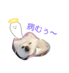 モカラニアン7（個別スタンプ：1）