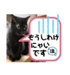 黒猫一家〜りんごさんの巻〜（個別スタンプ：6）